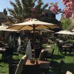 Hare & Hounds i article in Living In Barnes, East Sheen & West Putney magazine